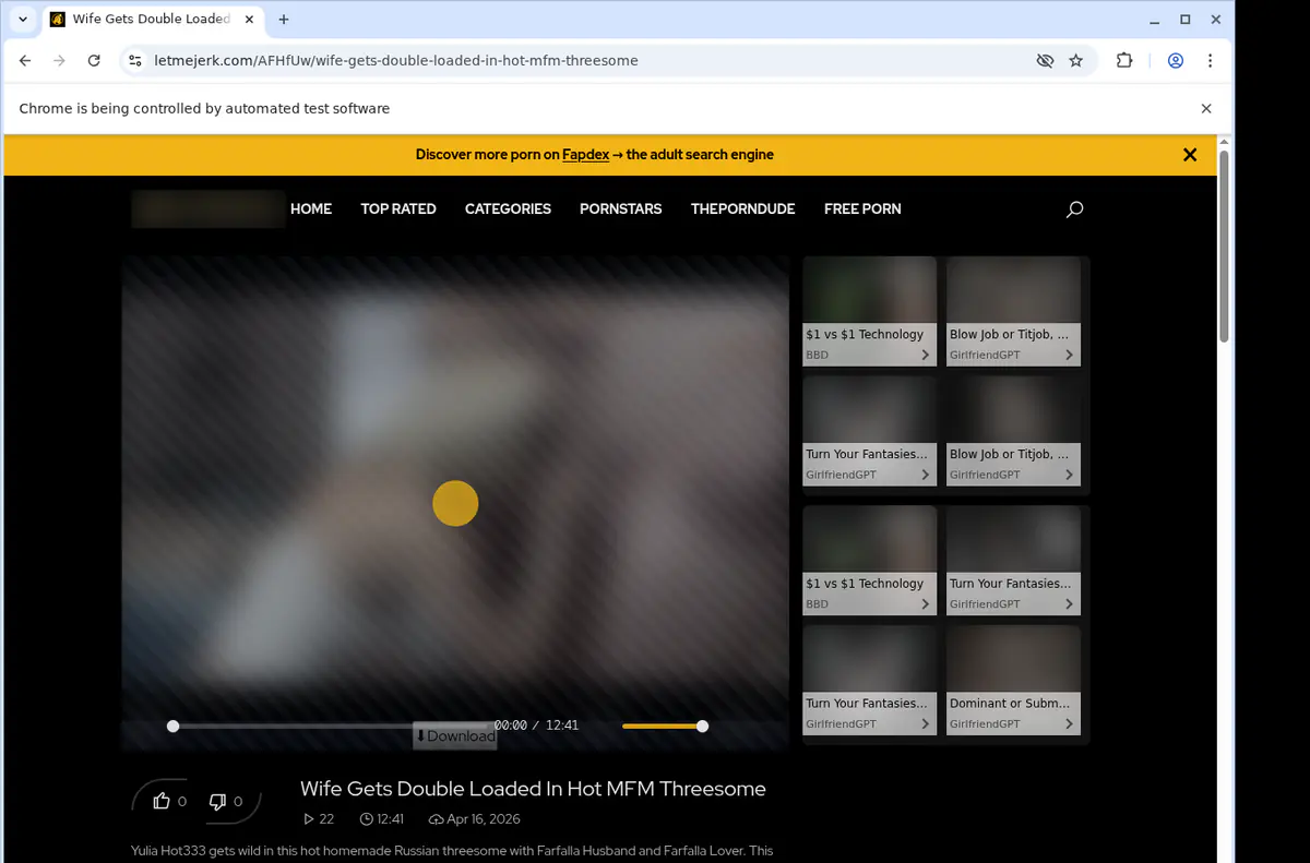 Letmejerk Video Downloader browser extension screenshot 2