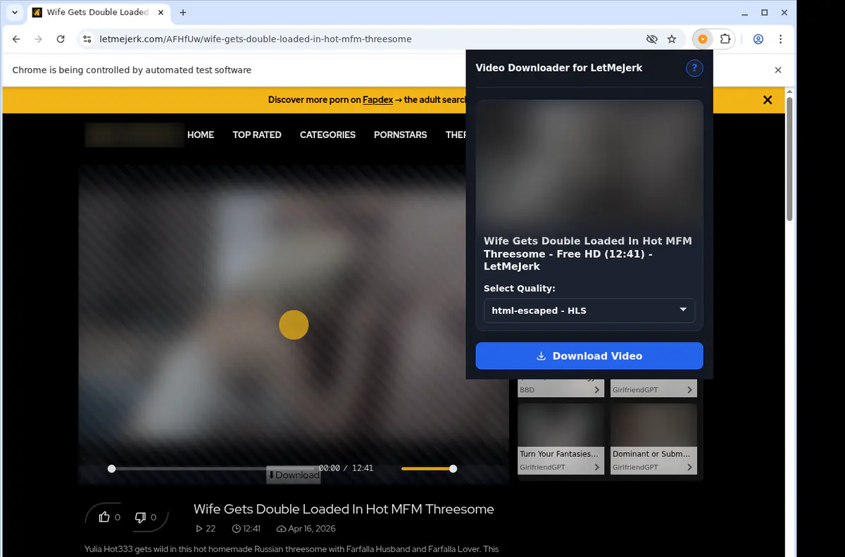 Letmejerk Video Downloader browser extension screenshot 3